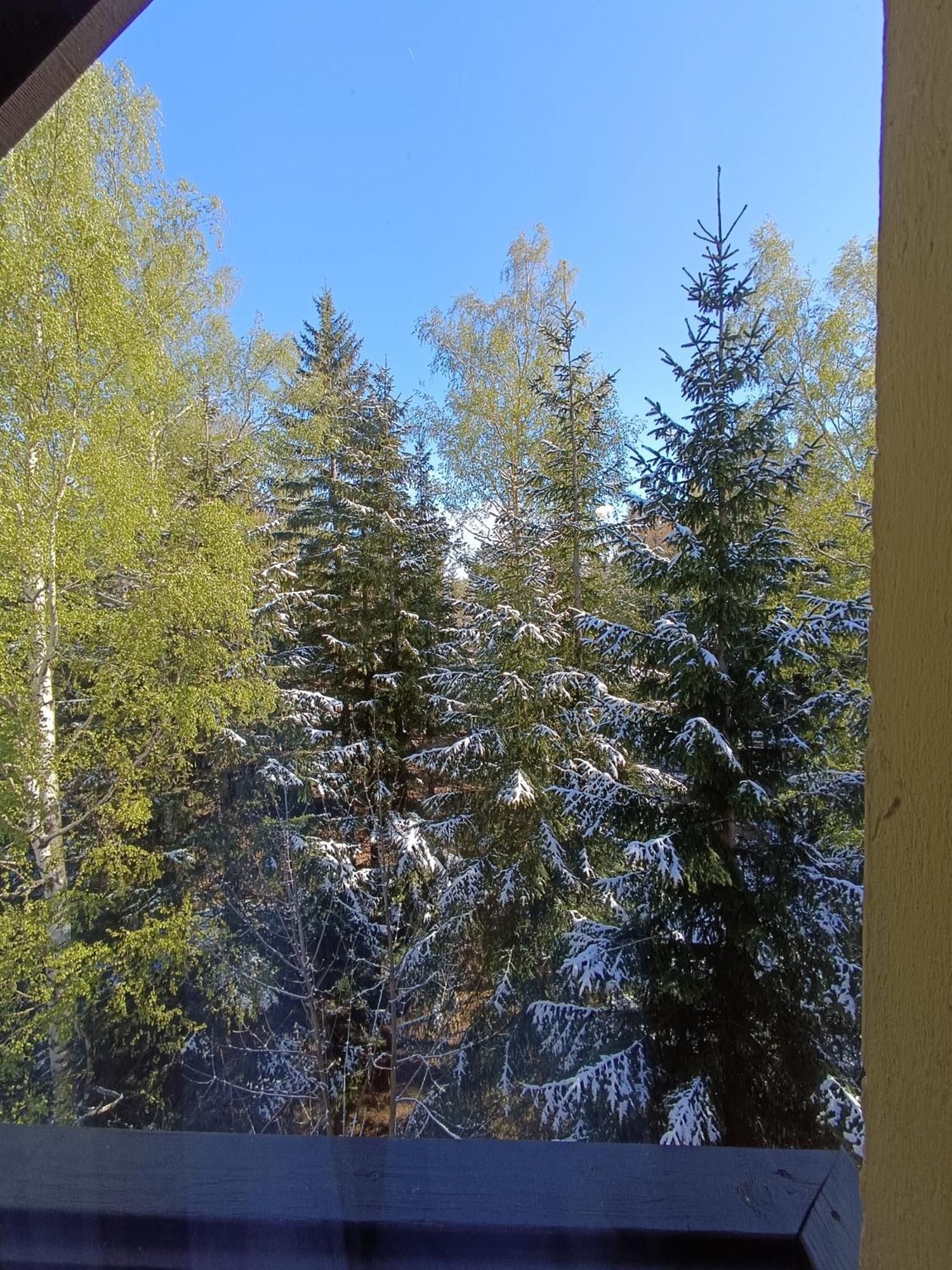 Willa Alaska Karpacz Eksteriør billede